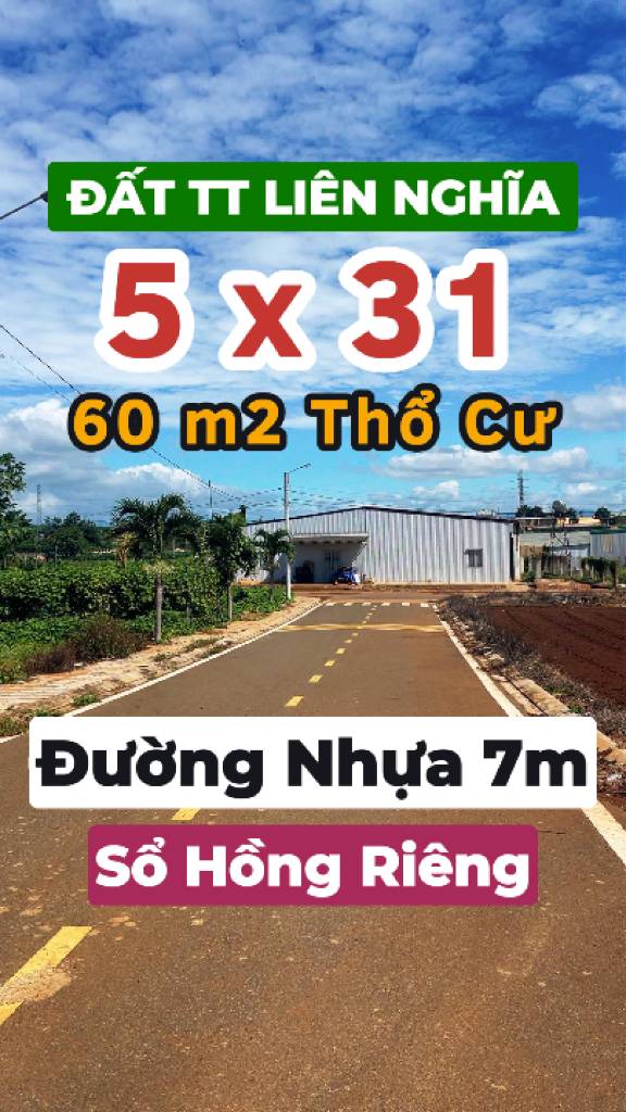 thuviennhadat.vn